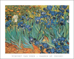 Review: Art Print Garden of Irises by Vincent van Gogh Wall Art Décor 22 x 28 inch