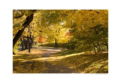 Central Park Path Art Print by Viktor Balkind - Serene NYC Landscape Wall Art Décor 13 x 19 inch