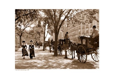 Framed Taxi Stand at Madison Square, 1900 (sepia) 13 x 19