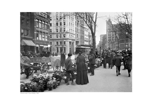 Framed Flower Vendor's Easter Display, 1904 13 x 19