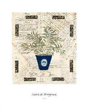 Framed Sage Letters by Isabelle de Borchgrave | 14 x 11