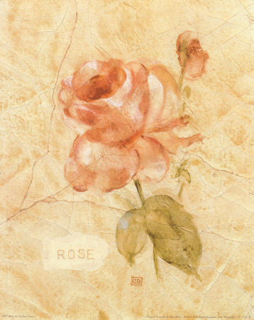 Rose on Cracked Linen by Cheri Blum: Elegant Floral Wall Art