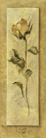 Framed Rose Panel by Cheri Blum | 36 x 12