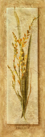 Framed Freesia Panel by Cheri Blum | 36 x 12
