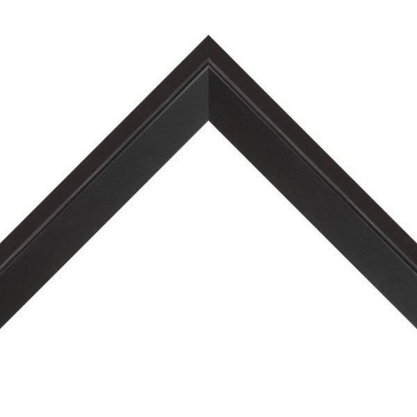 15X48 PRINT UPLOAD AND FRAME