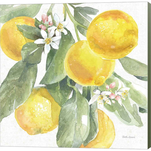 Citrus Charm Lemons II by Beth Grove, Canvas Art