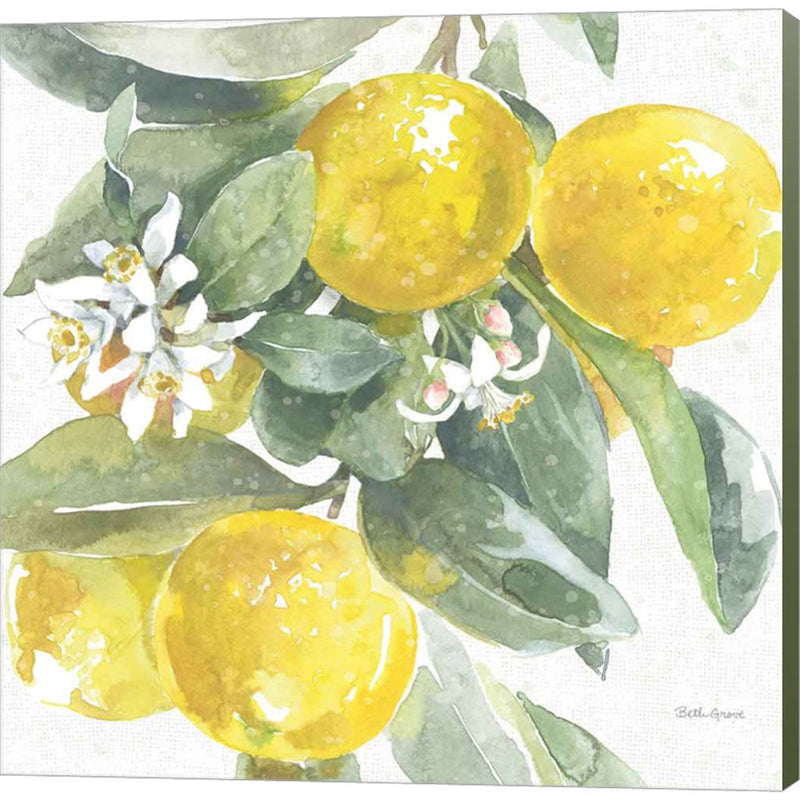 Citrus Charm Lemons I by Beth Grove, Canvas Art