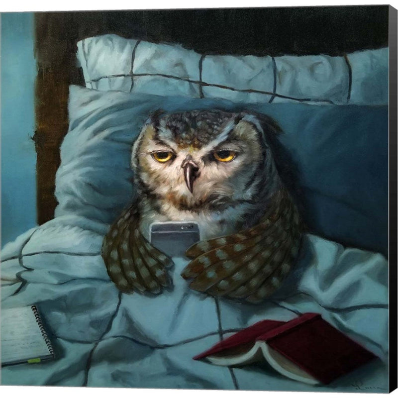 Night Owl by Lucia Heffernan, Canvas Art