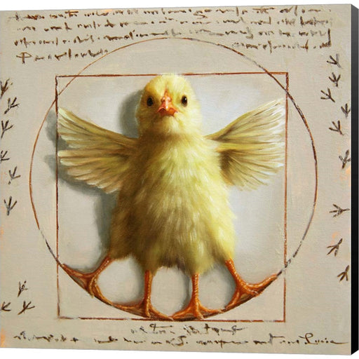Vitruvian Chick by Lucia Heffernan, Canvas Art