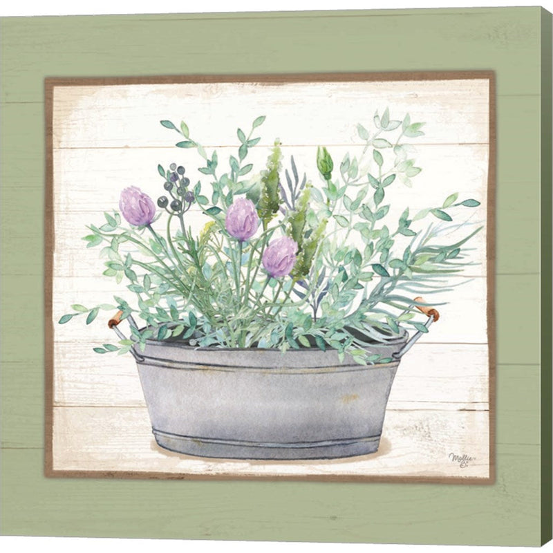 Pot of Herbs I by Mollie B., Canvas Art