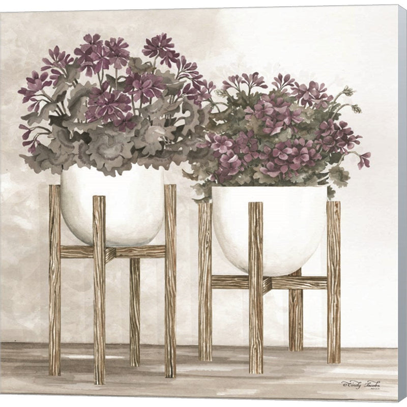 Potted Geraniums by Cindy Jacobs, Canvas Art