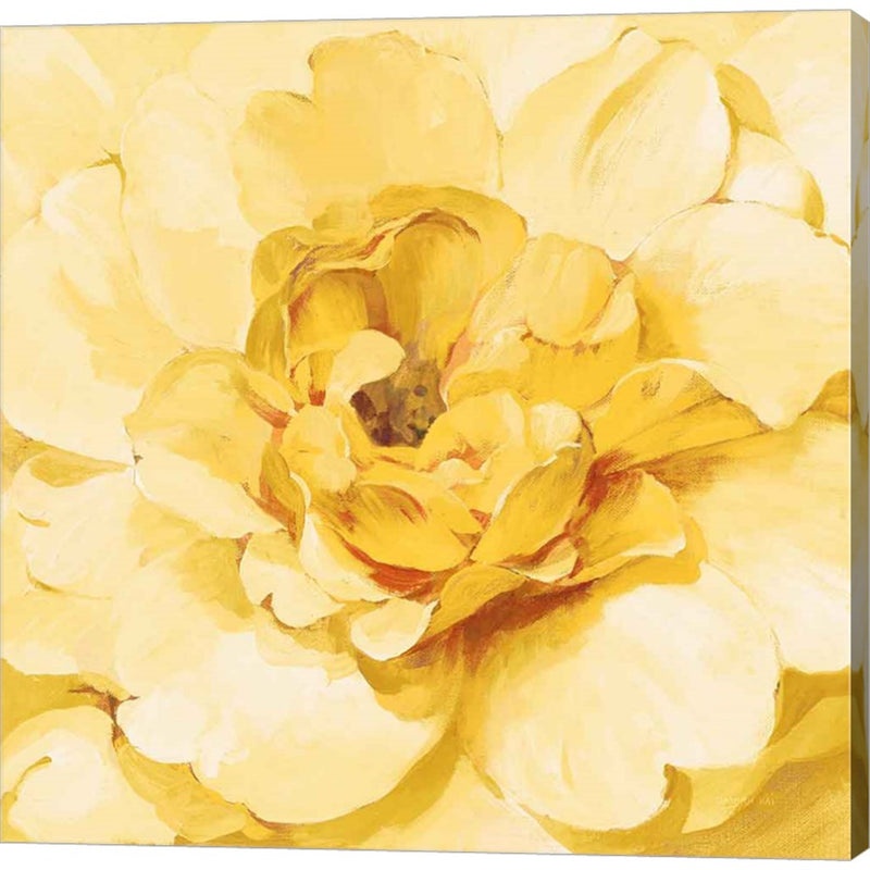 Yellow Peony by Danhui Nai, Canvas Art