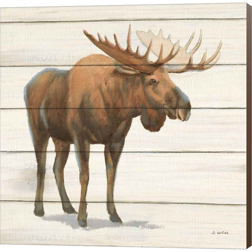 Northern Wild VI by James Wiens, Canvas Art