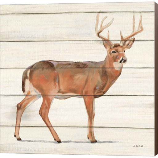 Northern Wild V by James Wiens, Canvas Art