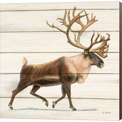 Northern Wild IV by James Wiens, Canvas Art