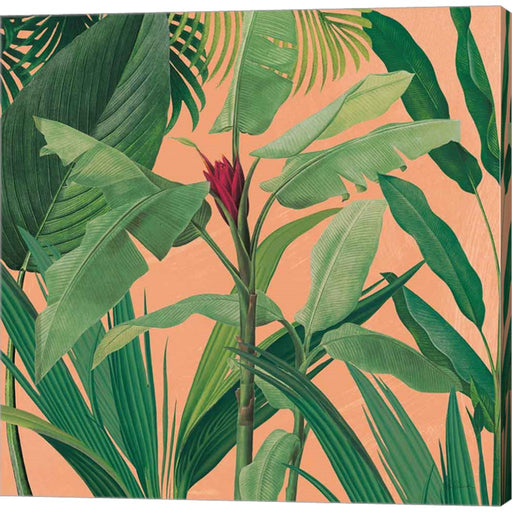 Dramatic Tropical I Boho by Sue Schlabach, Canvas Art