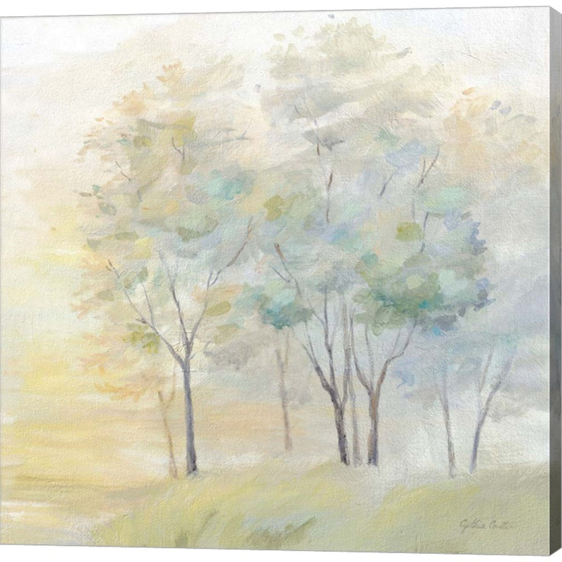 Sunny Glow II by Cynthia Coulter, Canvas Art