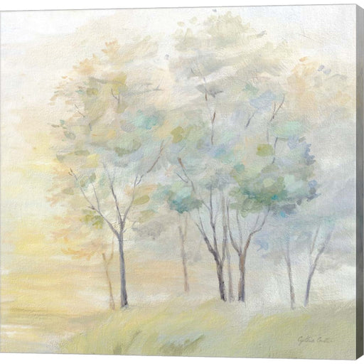 Sunny Glow II by Cynthia Coulter, Canvas Art