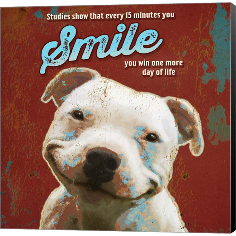 Pet Sentiment I-Smile by Duirwaigh, Canvas Art