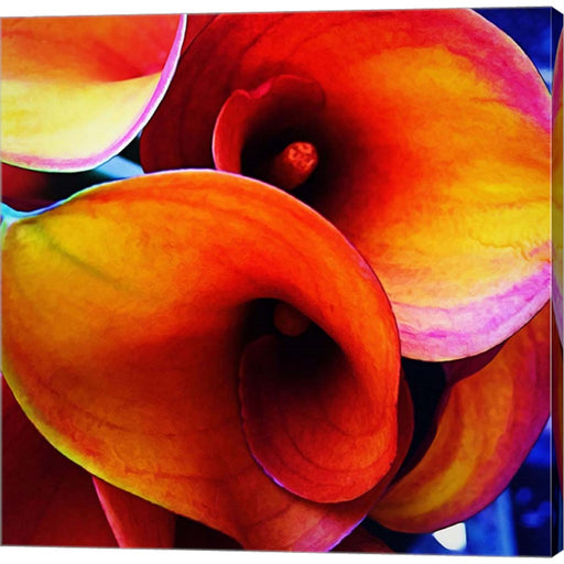 Happy Accident by Jessica Manelis, Canvas Art
