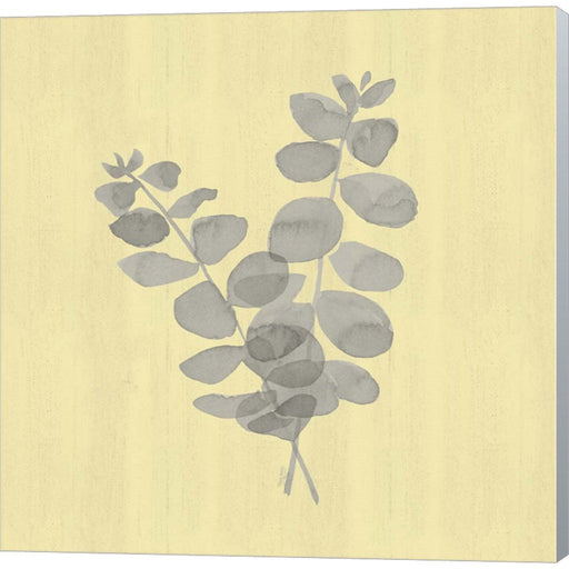 Natural Inspiration Eucalyptus Gray & Yellow I by Tara Reed, Canvas Art