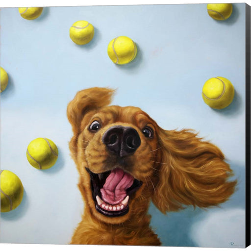 Ball Boy by Lucia Heffernan, Canvas Art