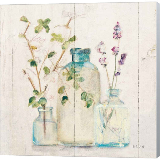 Blossoms V Light by Cheri Blum, Canvas Art