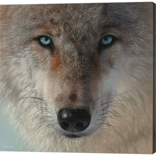 Inner Wolf by Collin Bogle, Canvas Art