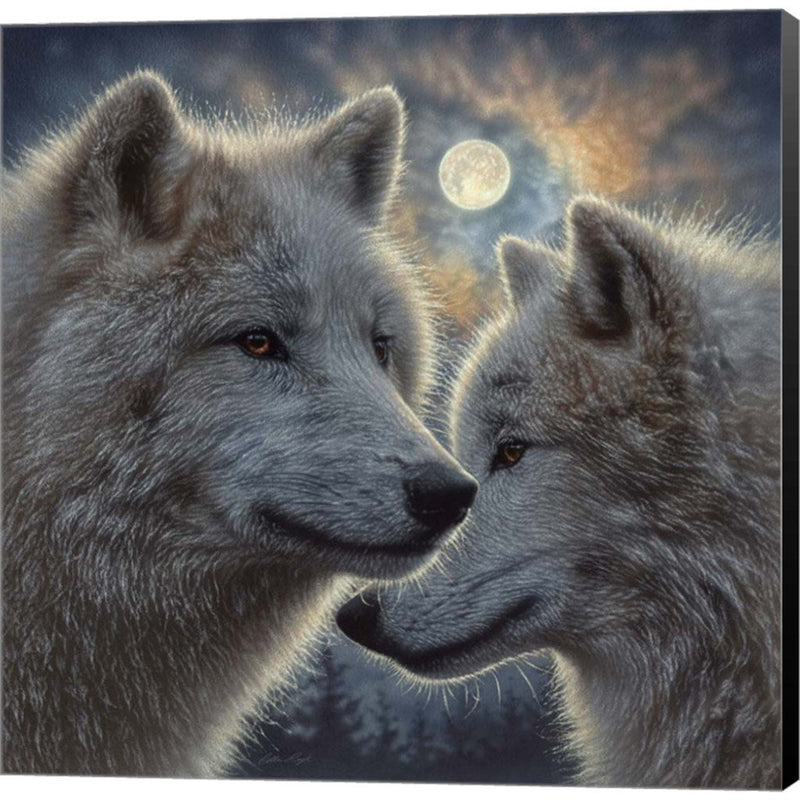 Moonlight Wolf Mates by Collin Bogle, Canvas Art