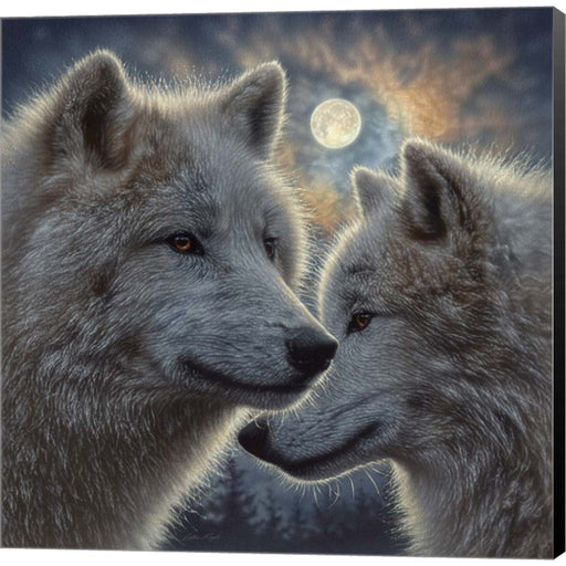 Moonlight Wolf Mates by Collin Bogle, Canvas Art