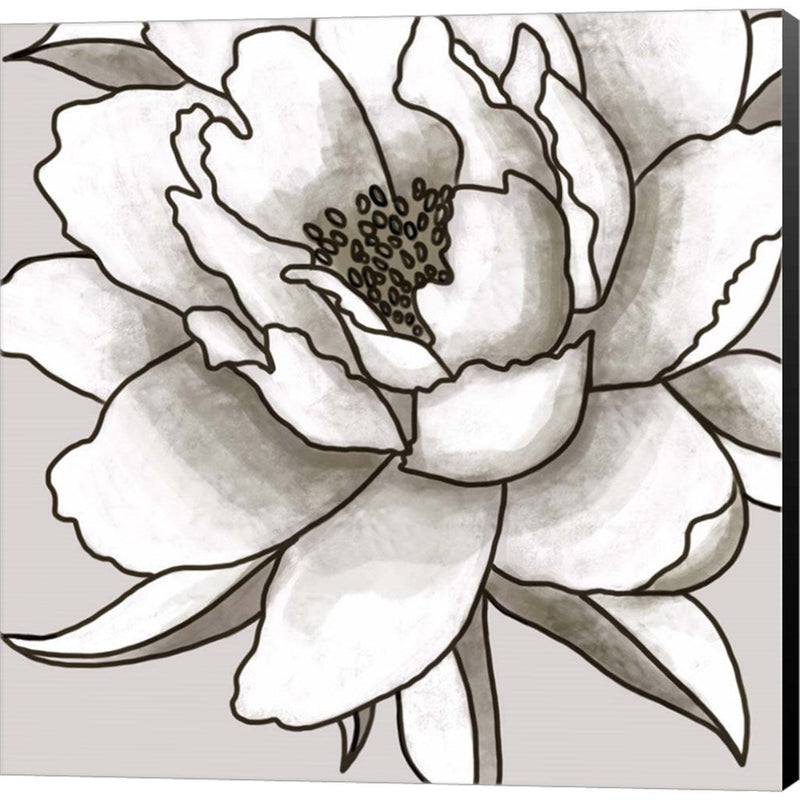 Peony I by Elizabeth Tyndall, Canvas Art