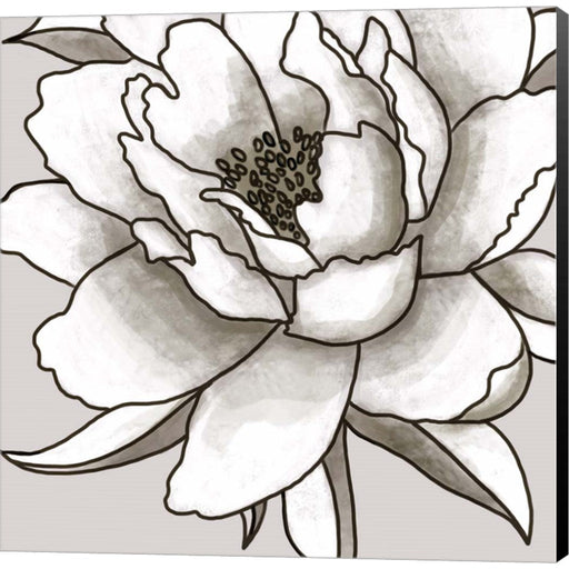 Peony I by Elizabeth Tyndall, Canvas Art