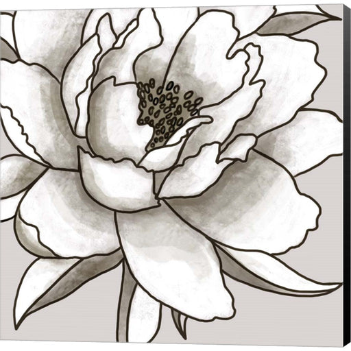 Peony II by Elizabeth Tyndall, Canvas Art