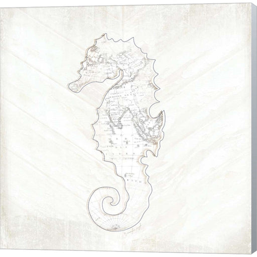Coastal Seahorse by Jennifer Pugh, Canvas Art