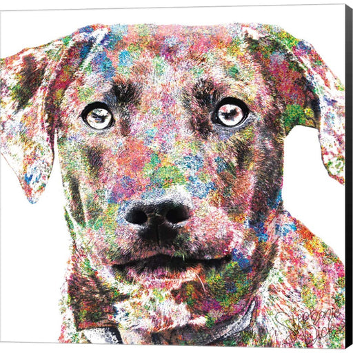Beau by Stephanie Dicks, Canvas Art