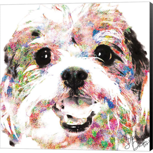 Cookie by Stephanie Dicks, Canvas Art