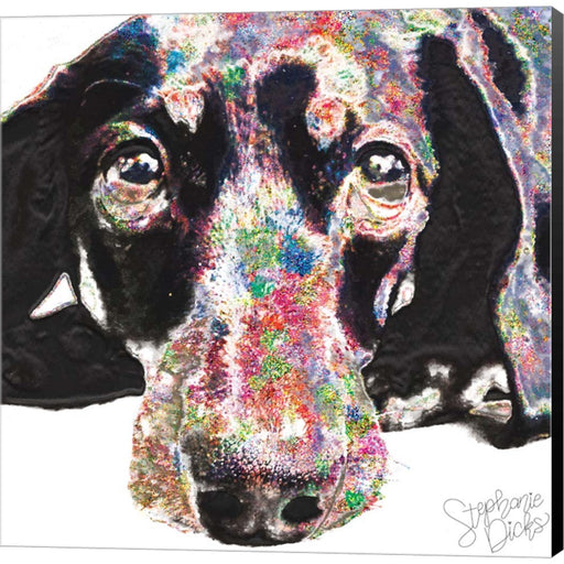 Darla by Stephanie Dicks, Canvas Art