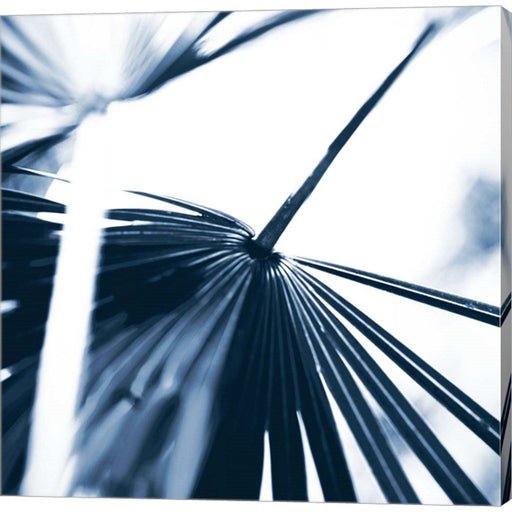 Among Blue Palms II by Susan Bryant, Canvas Art
