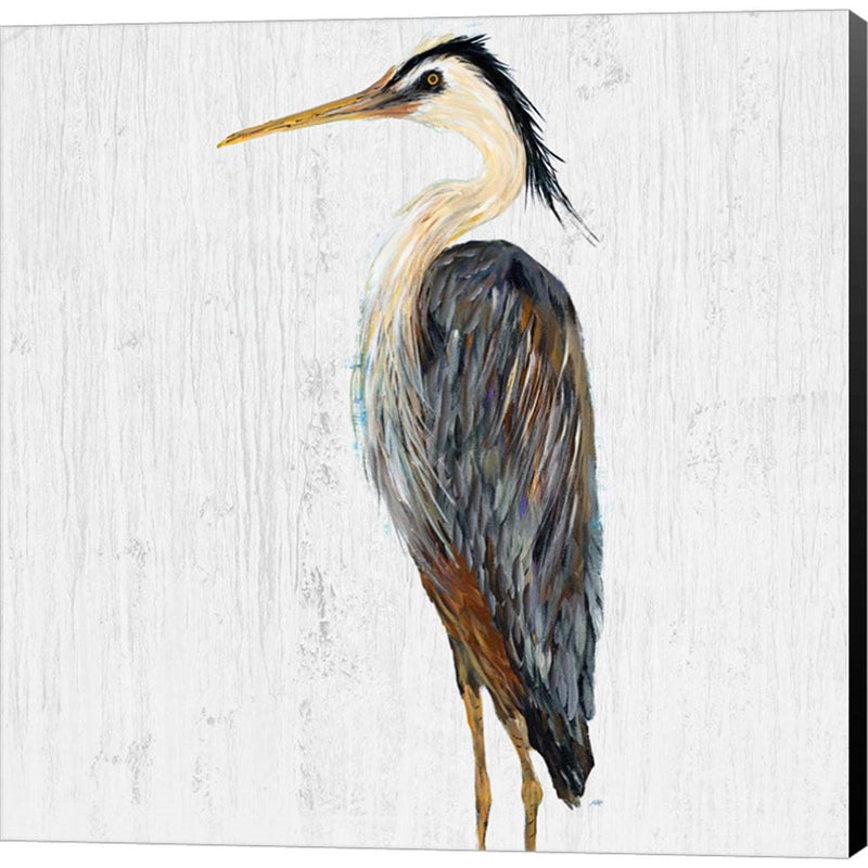 Heron On Whitewash I by Julie DeRice, Canvas Art