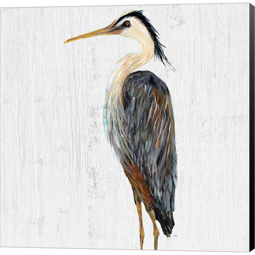 Heron On Whitewash I by Julie DeRice, Canvas Art