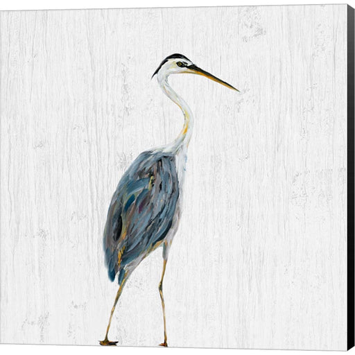 Heron on Whitewash II by Julie DeRice, Canvas Art