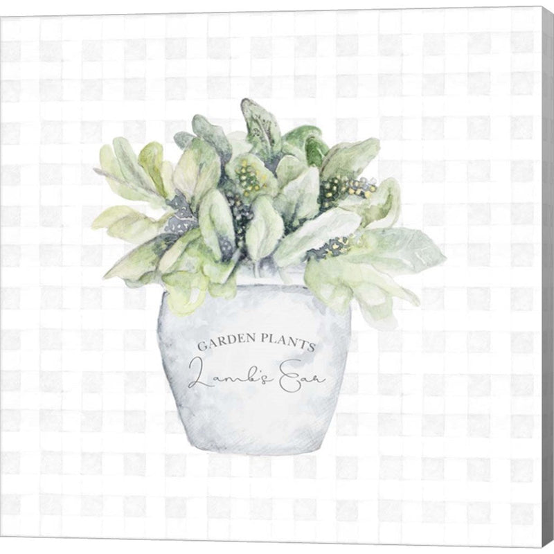 Garden Plants III by Janice Gaynor, Canvas Art
