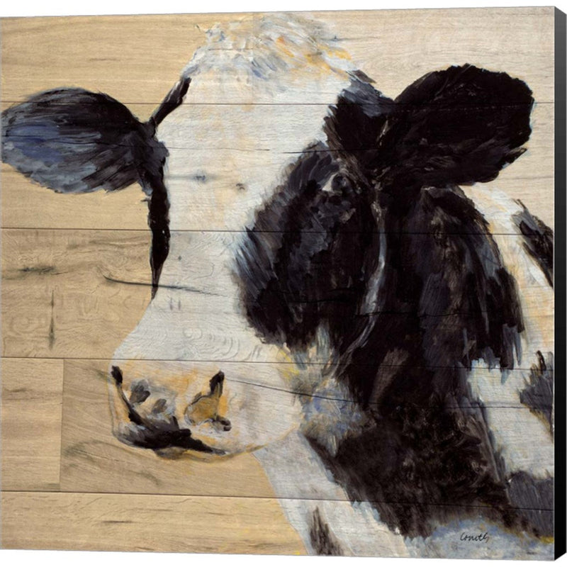 Cow by Lanie Loreth, Canvas Art