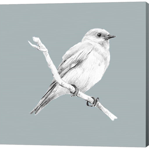 Bird Study on Blue I by Lanie Loreth, Canvas Art