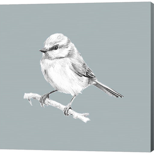 Bird Study on Blue II by Lanie Loreth, Canvas Art