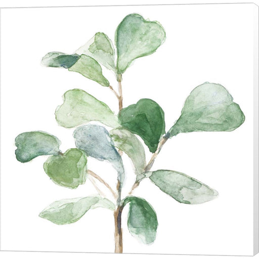 Fiddle Fig Leaf Plant I by Lanie Loreth, Canvas Art