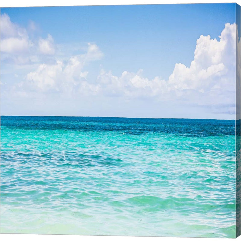 Cool Blue by Emily Navas, Canvas Art
