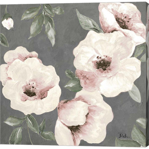 Dusty Rose II by Patricia Pinto, Canvas Art
