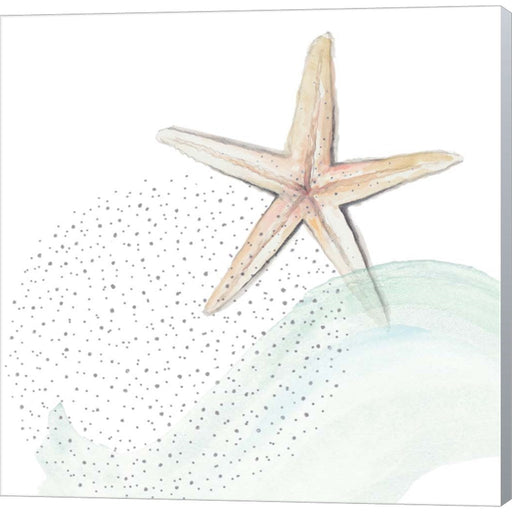 Turquoise Ocean Treasure Star by Patricia Pinto, Canvas Art