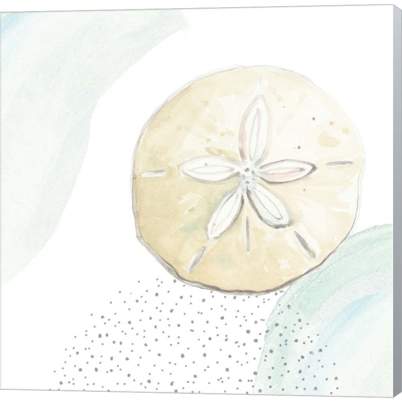 Turquoise Ocean Sand Dollar by Patricia Pinto, Canvas Art